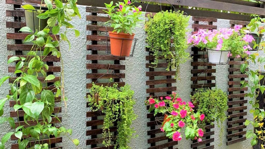 Creating Your Dream Garden: Top Amazon Picks For Essential Supplies