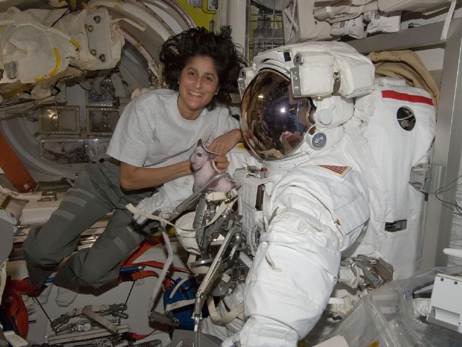 From Earth To The Stars: Sunita Williams Legacy In Space Exploration