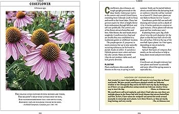 Blooms And Bounty: Exploring The World Of Plants, Seeds  Bulbs