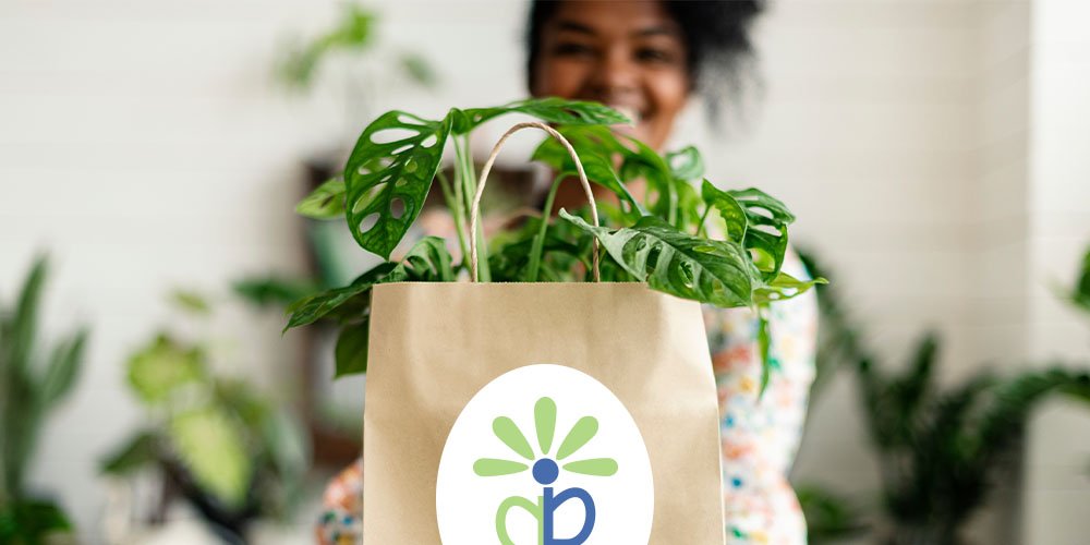 Green Thumbs Guide: Nurturing Vibrant Gardens With Plants, Seeds  Bulbs