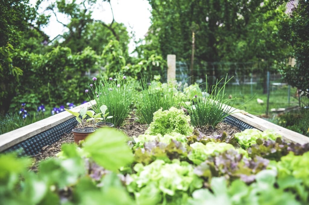 Green Thumbs Guide: Nurturing Vibrant Gardens With Plants, Seeds  Bulbs