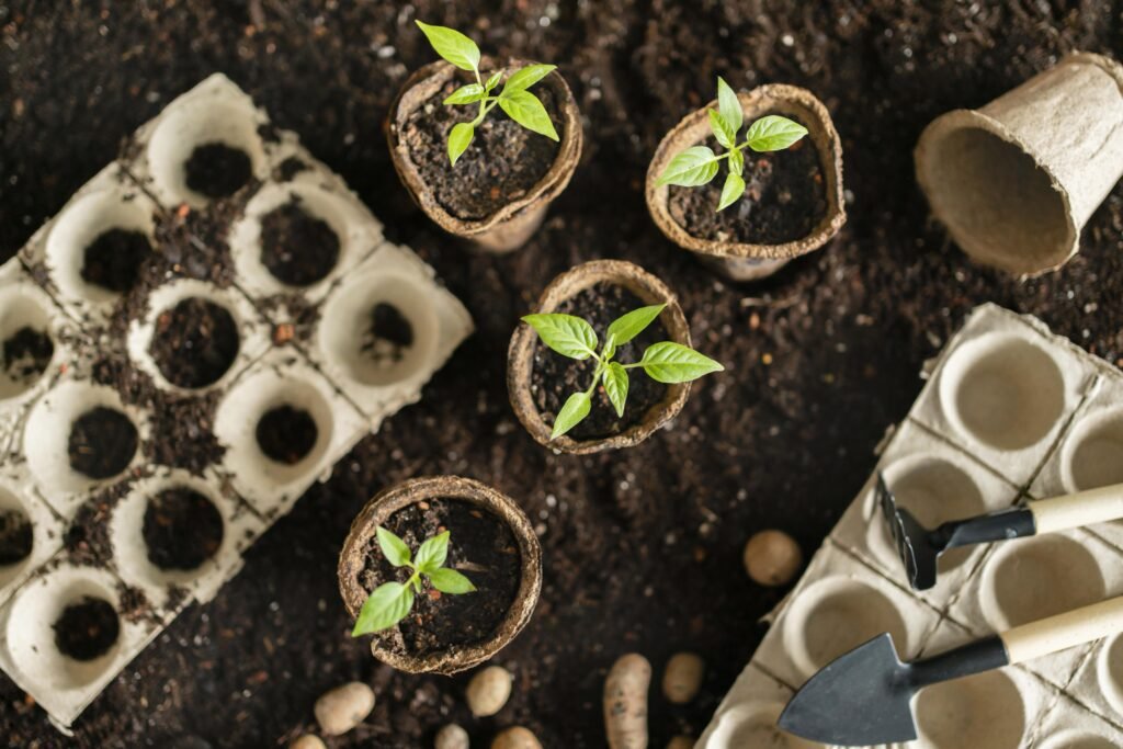 Plants, Seeds & Bulbs