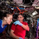Astronauts Shannon Walker and Michael Hopkins collect leaf samples