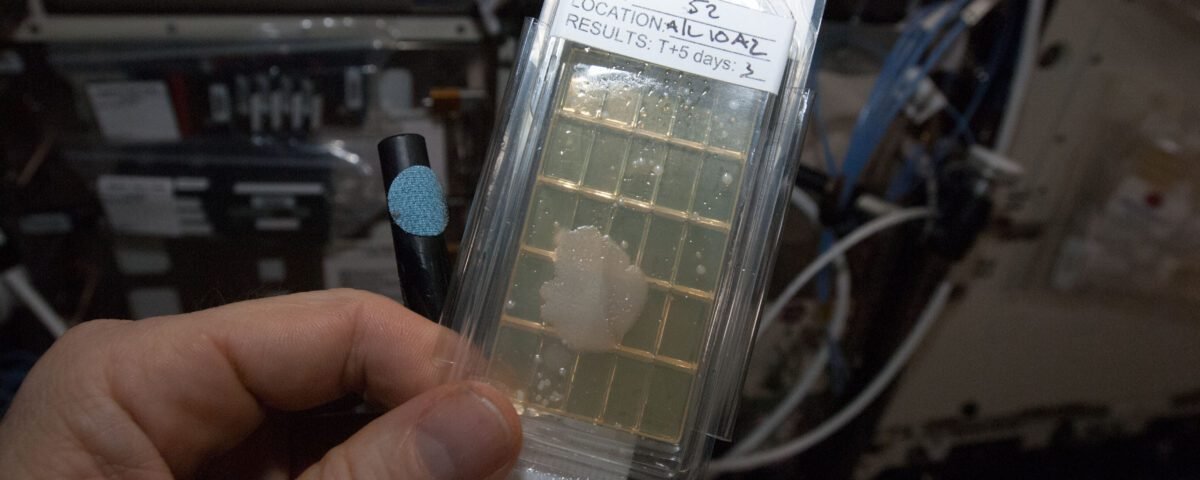 bacteria culture inside space station