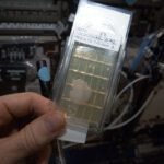 bacteria culture inside space station