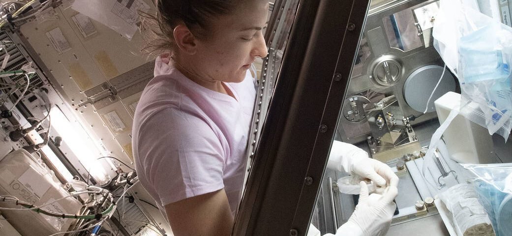 Astronaut Kayla Barron works on a space agriculture study